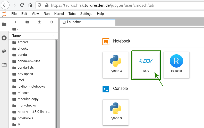 JupyterLab and DCV